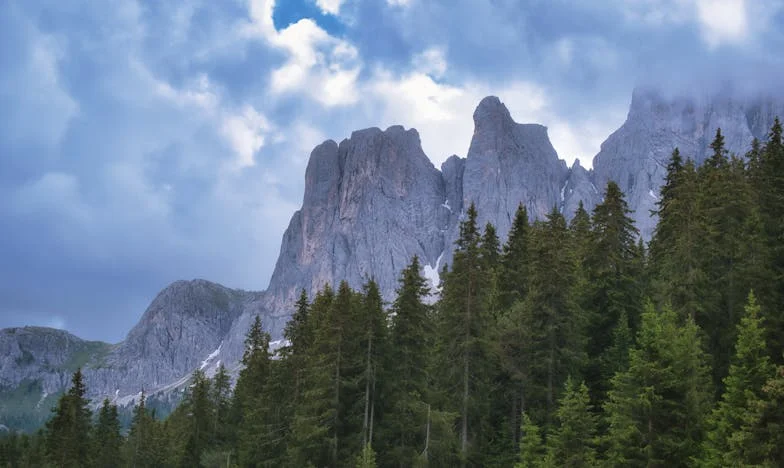 Gustul amar al sărbătorilor: când mama alege pe altcineva