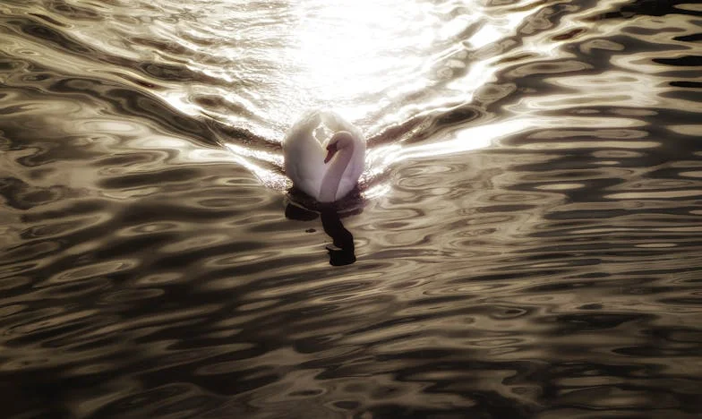 În noaptea aceea, când cumnata mea a bătut la ușă: Poveste despre trădare, iertare și alegeri imposibile