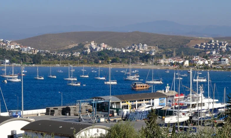 Între două iubiri: Povestea mea despre familie, sacrificiu și adevăr