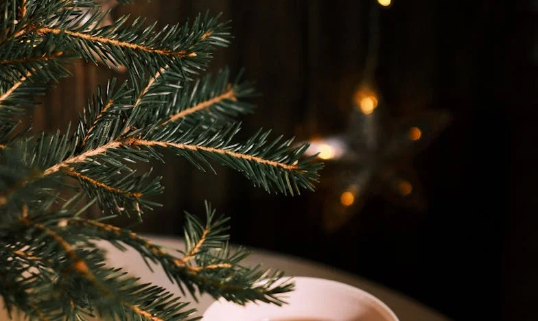 Între două lumi: Povestea mea despre lupta cu regulile soacrei și tăcerea soțului