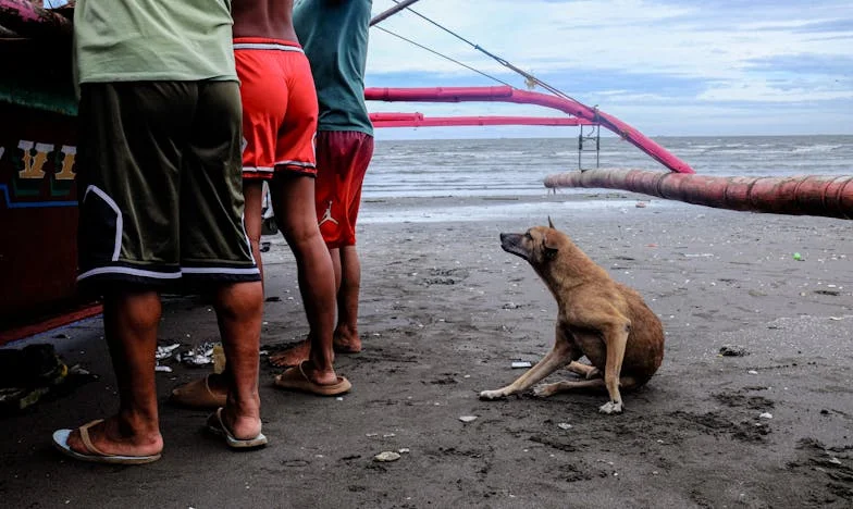 Între două lumi: Povestea unei bunici care nu-și poate vedea nepotul