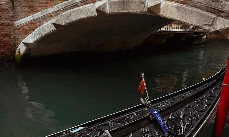 Între Două Mame: Inima Mea Împărțită Între Datorie și Iubire