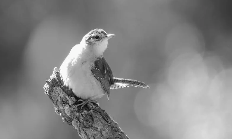 Între dragoste și datorie: Povestea unei veri în care totul s-a schimbat