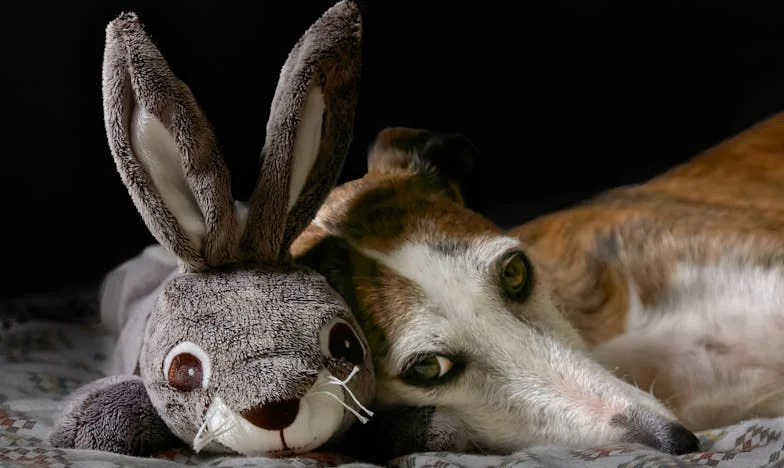 Între mama-soacră și adevăr: Cum am ales să nu mai fiu o umbră în propria mea viață