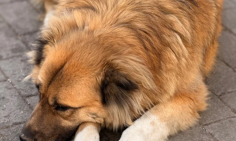 Nu m-am căsătorit niciodată: Ziua în care am aflat adevărul despre Vlad și mama lui