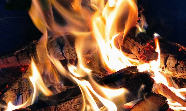 O viață trăită pentru alții: Povestea unei căsătorii forțate