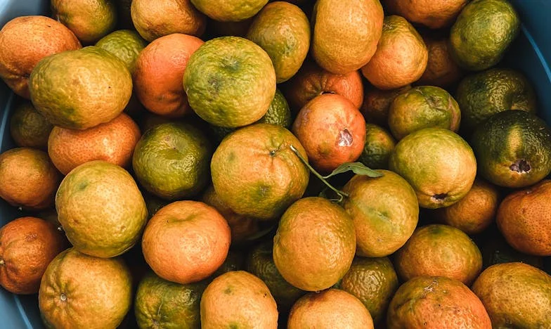 „Plătește chirie!” – Mărturia unei mame despre destrămarea familiei