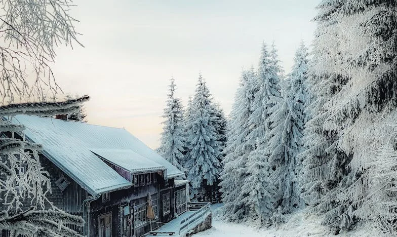 Prețul adevărului – Vara în care am spus ce nu se spune