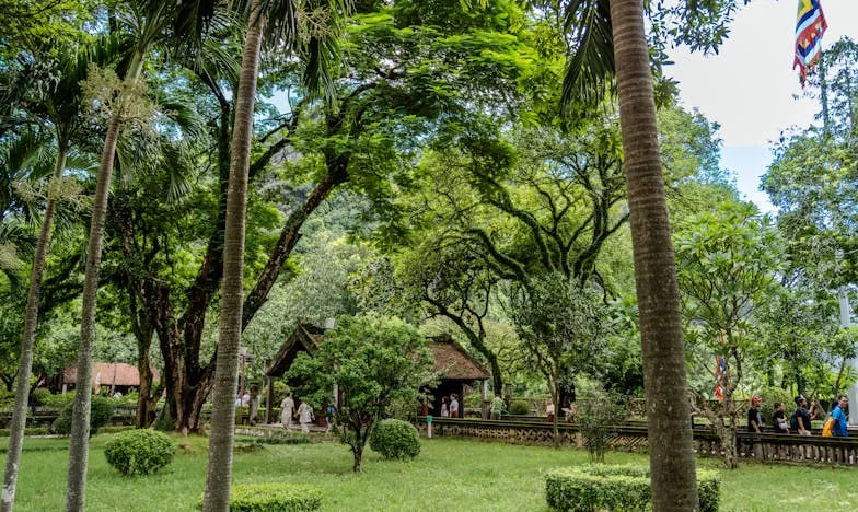 Rolul din care nu există ieșire – Povestea unei femei românce în închisoarea familiei