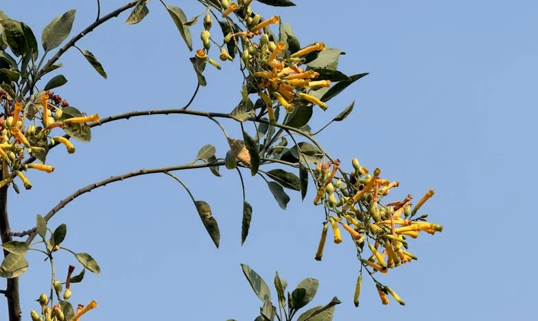 Sub același acoperiș, fără libertate: Lupta mea pentru mine însămi