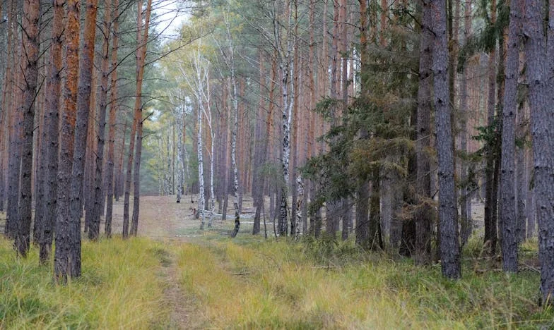 Ultimatumul soacrei: O seară care mi-a schimbat viața