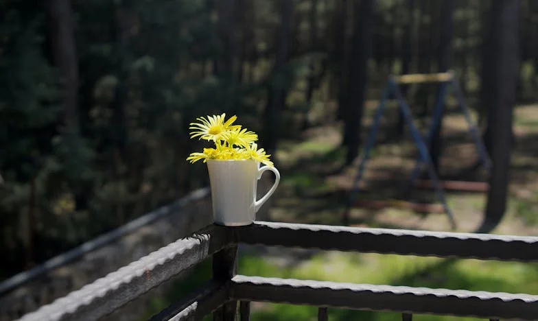 Umbra unei iubiri interzise: Povestea mea între adevăr și trădare