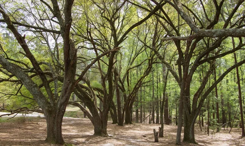 Ziua în care totul s-a schimbat: mama-soacră, ploaia și adevărul ascuns