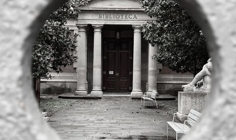 Alegerea crudă a soacrei mele: Cum favorizarea unui fiu ne-a destrămat familia