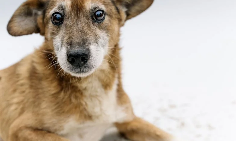 „Am dat apartamentul fiicei noastre, dar acum suntem străini în propria familie”