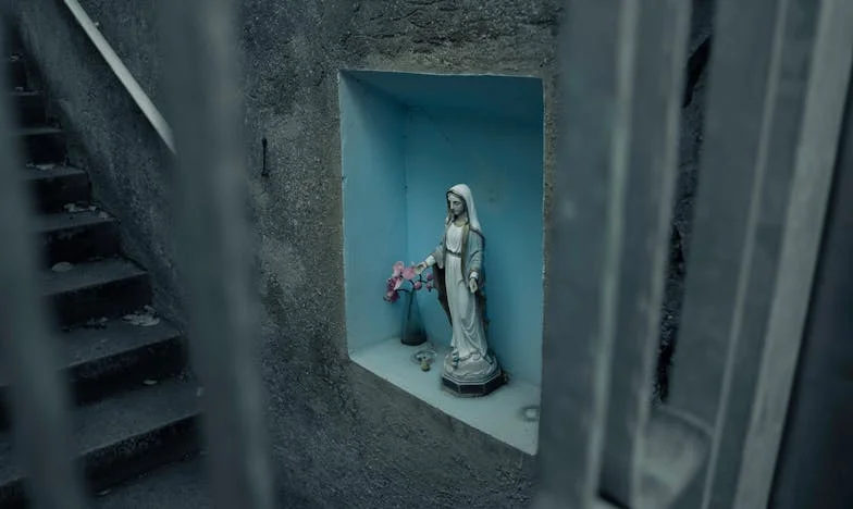 Casa care ne desparte: Povestea unei moșteniri și a unei copilării pierdute