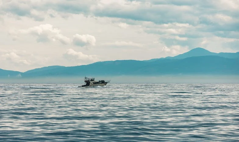 „Cum ai putut să aduci fata asta acasă? Nici măcar nu are facultate, e doar o chelneriță!”