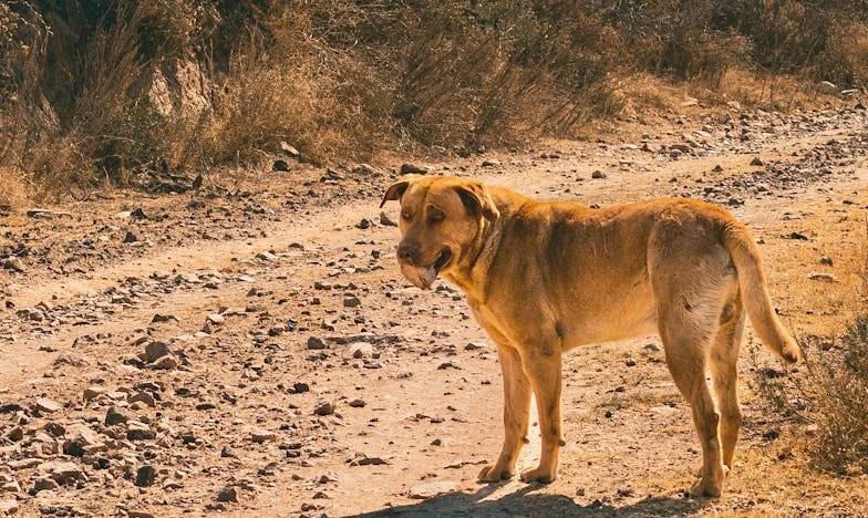 Două decenii de tăcere: Povestea mea cu vecina de peste drum