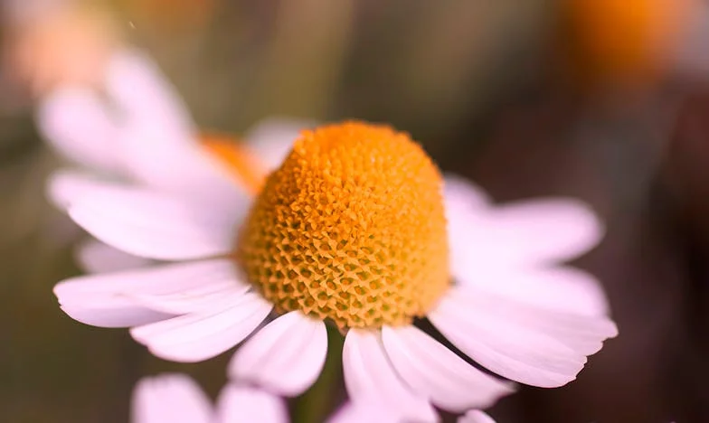 Între Viață și Moarte: Povestea Mirunei și a Miracolului din Familia Noastră