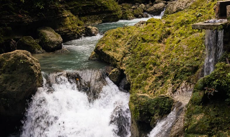 Nu-ți vei mai vedea niciodată nepoții: O poveste despre iertare și speranță