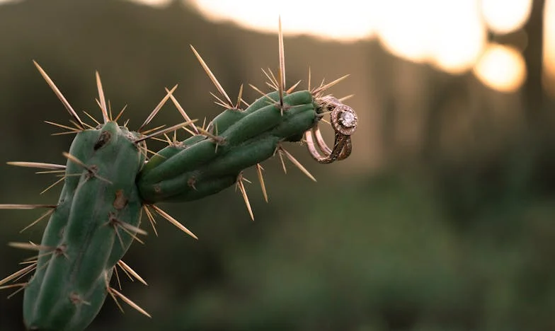 Opt ani de tăcere: Povestea mea cu socrul nurorii mele