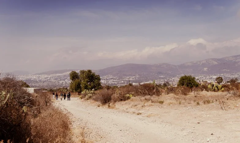 Scrisoarea care mi-a zguduit lumea: Povestea Evei între vină, furie și speranță