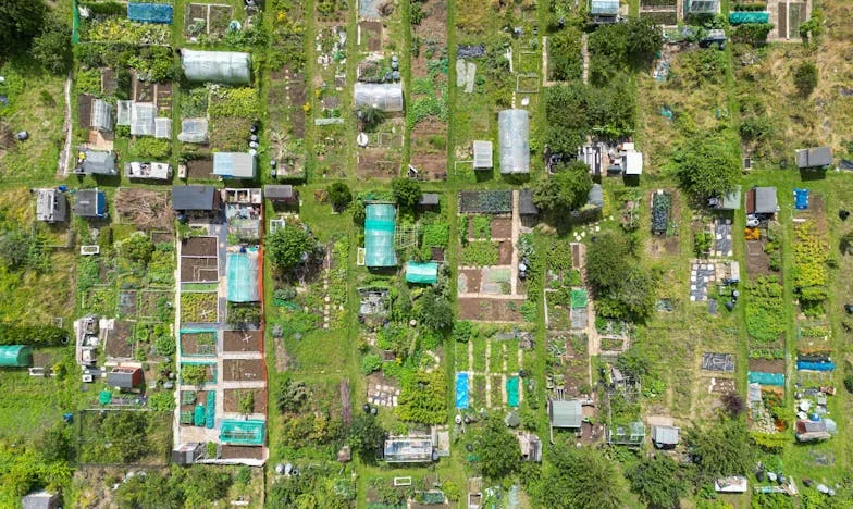 Scrisori din trecut: Povestea unei iubiri ascunse