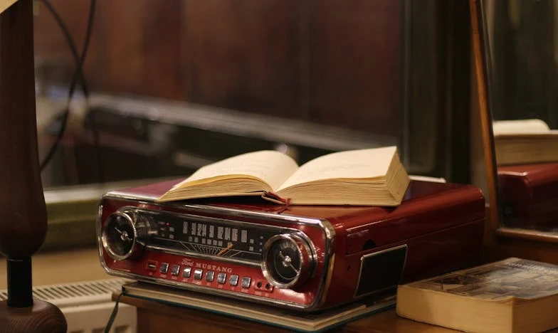 Testamentul care ne-a despărțit: Povestea mea și a fiului meu, Vlad