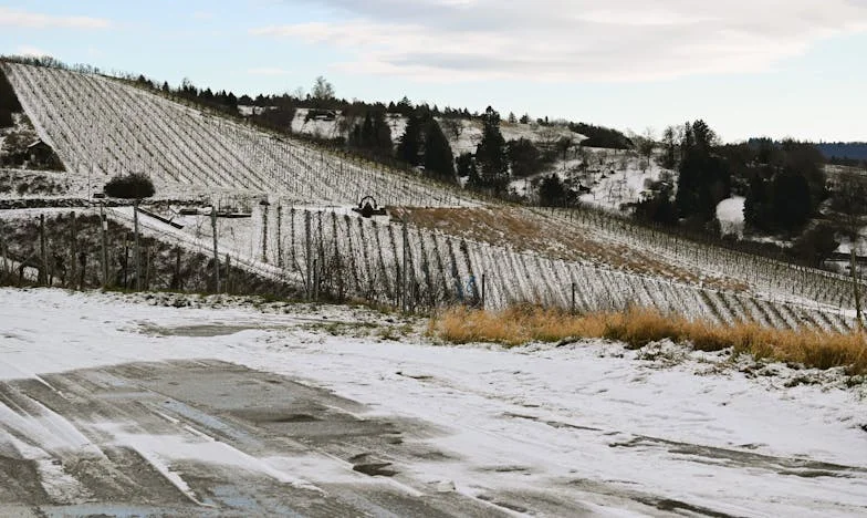 Trei decenii împreună: Un telefon care a schimbat totul