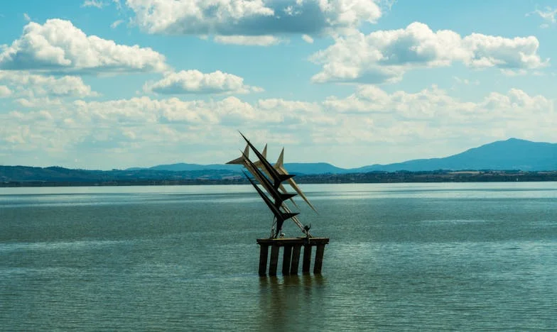 Un singur telefon care mi-a schimbat viața: povestea unei femei care a renăscut din cenușă