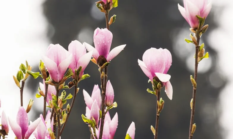 Ziua în care părinții mei mi-au închis ușa: Povestea unei alegeri imposibile