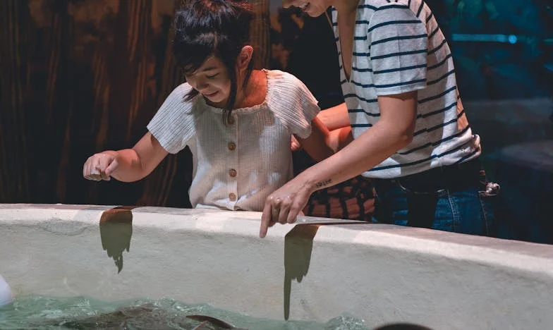 Nu mi-am imaginat niciodată că viața mea se va schimba într-o singură noapte