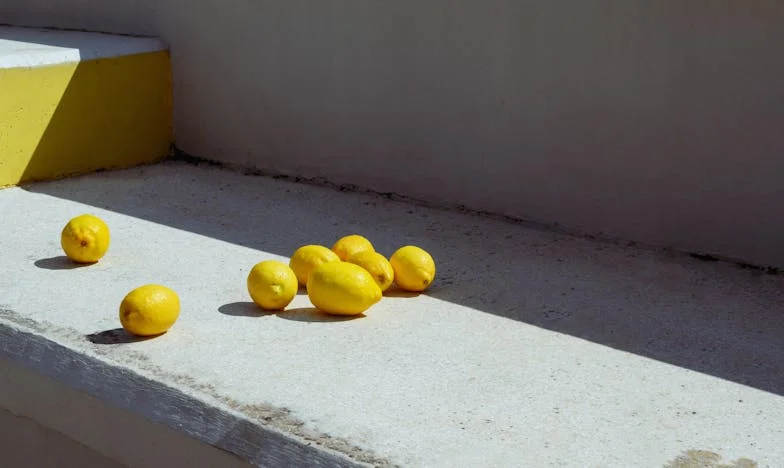 Viața începe după cincizeci de ani: O întâlnire care mi-a schimbat destinul