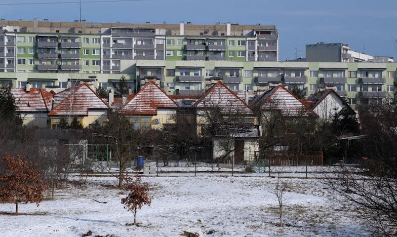 Aruncat ca un câine pe străzi: Povestea mea de supraviețuire și regăsire