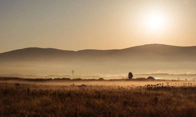 Dincolo de Ușile Închise: Povestea Prieteniei, Invidiei și a Unui Nou Început