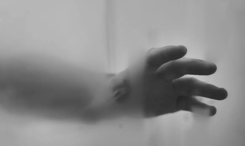 Întoarcerea din Umbre: Povestea Milicăi și a Jelenăi