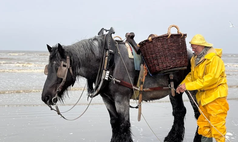 Între două lumi: Ajunul care mi-a sfâșiat familia