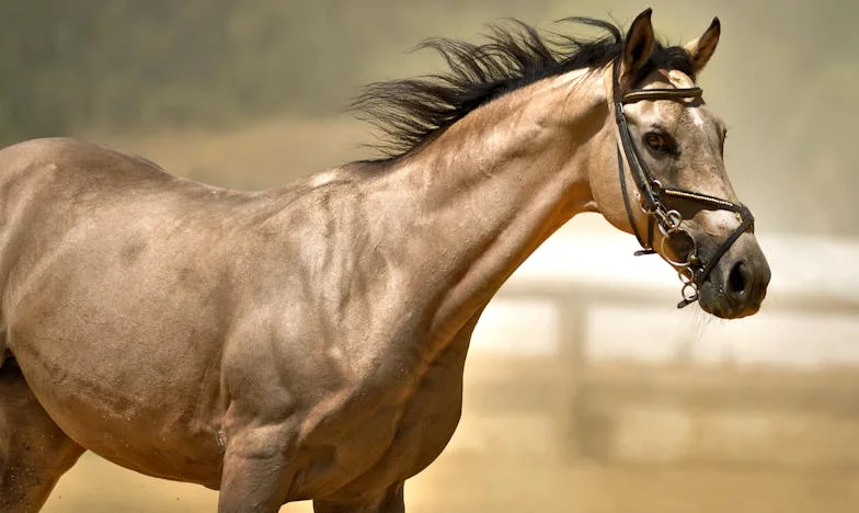 Între Mercedesul lor și nepotul nostru: Strigătul unei mame