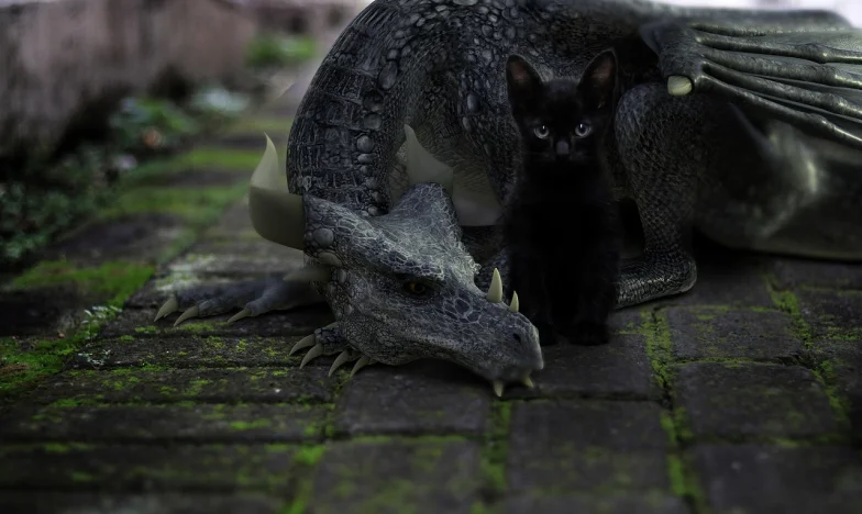 Niciodată nu am fost destul de bună pentru Vlad: O iubire la marginea prăpastiei sociale