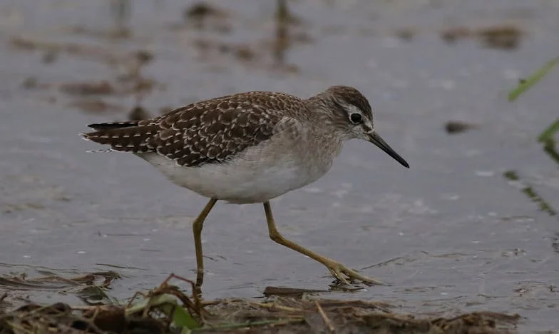 O petrecere de botez care mi-a distrus lumea: Povestea mea