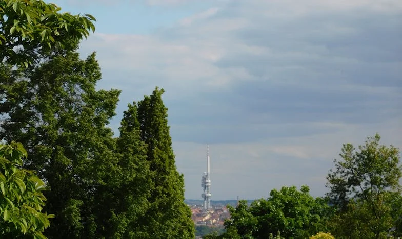 Când dragostea se întoarce: Inima unei mame în suburbie
