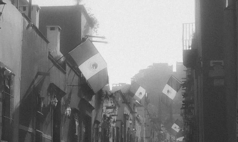 Când zvonurile devin familie: Telefonul care ne-a rupt