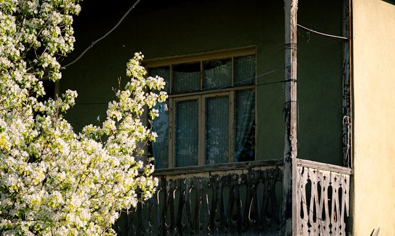 Cenușă în vânt: Povestea pierderii fiului meu în focul din pădurea de lângă sat