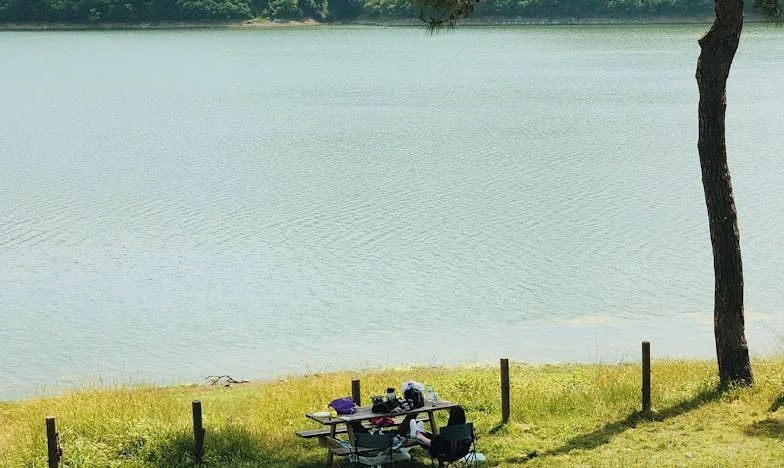 Cioburi de sticlă: Ziua în care lumea mea s-a spart și ce a urmat