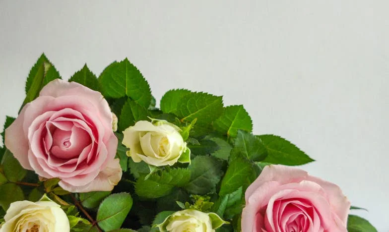 Dacă mâine nu găsesc banii, totul se sfârșește – Povestea mea, Eszter