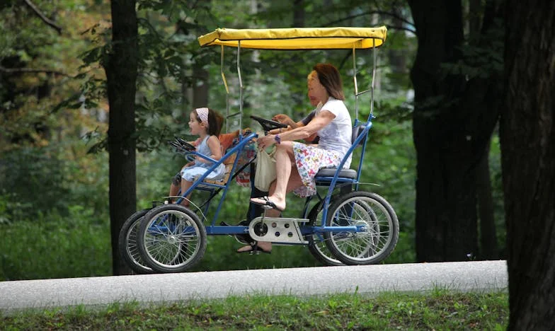 De ce fiica mea mă acuză că nu-i dau bani? Povestea unei mame care încearcă să-și regăsească drumul spre copilul ei