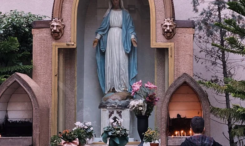 De ce să mai plantez flori, mamă?