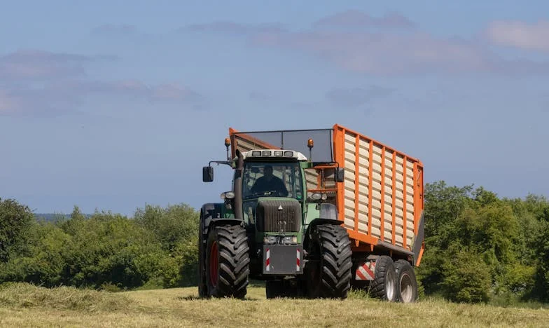 În umbra mamei mele – Povestea unei familii pe marginea prăpastiei