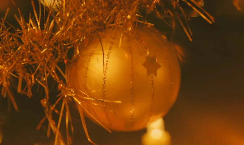 Legături de sânge: Povestea mea și a Mariei