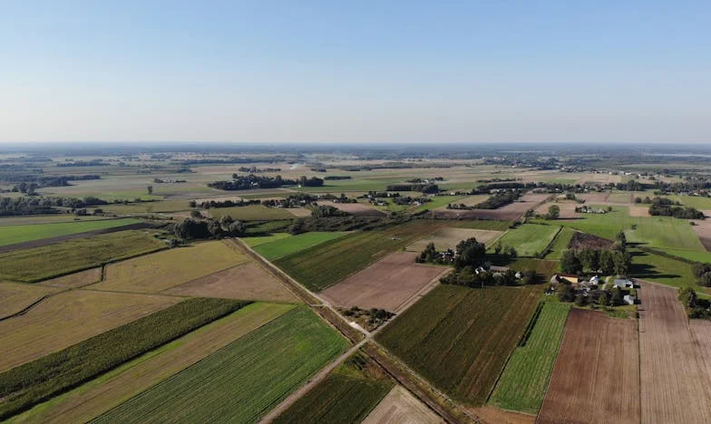 O plecare fără întoarcere: Când mama rămâne singură